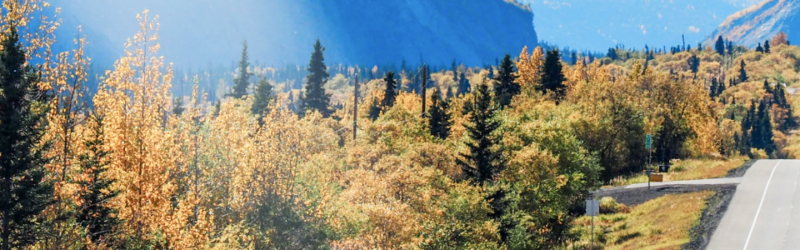 Header background image