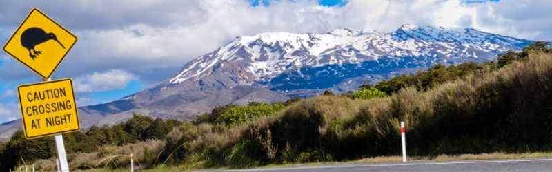 Header background image