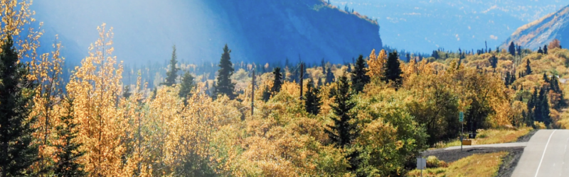 Header background image