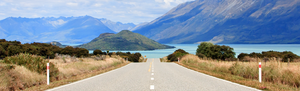 rental car nz 223333