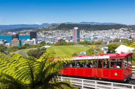 car-hire-wellington