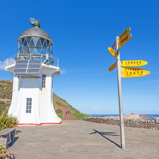 7 Epic Road Trips from Auckland