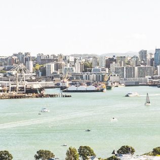 5 Things to Do in Auckland on a Sunny Day