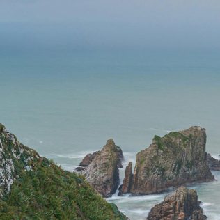 5 Amazing Things to Do in Dunedin, New Zealand