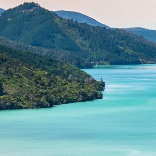 Discover Marlborough: A Local’s Guide to History, Nature, and Wine