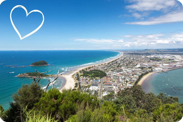 Tauranga Car Rental